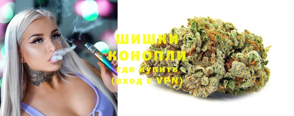 шишки Верхний Тагил