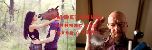 шишки Верхний Тагил