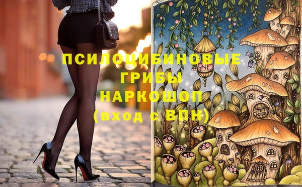 шишки Верхний Тагил