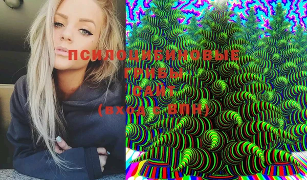 шишки Верхний Тагил