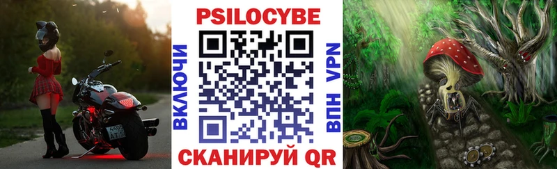 Купить где  Белый  Галлюциногенные грибы MAGIC MUSHROOMS 